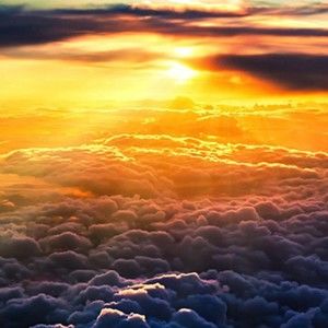 Meet your Posher, Dustin